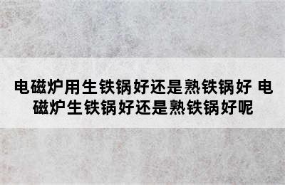 电磁炉用生铁锅好还是熟铁锅好 电磁炉生铁锅好还是熟铁锅好呢